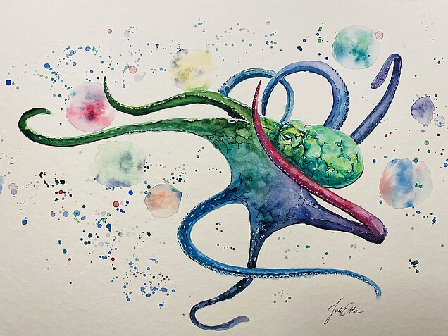bunter Octopus